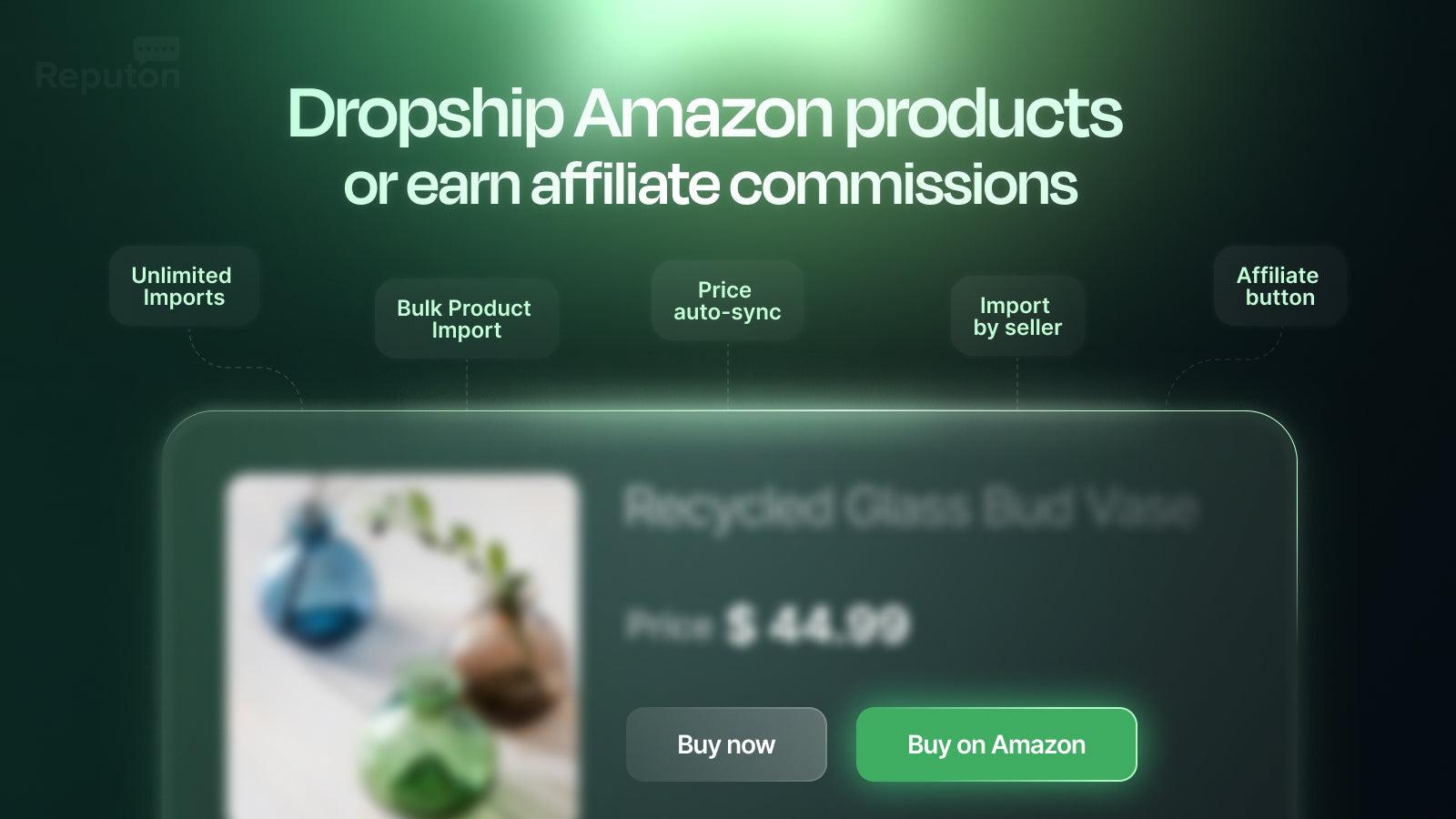 Reputon Amazon Product Importer