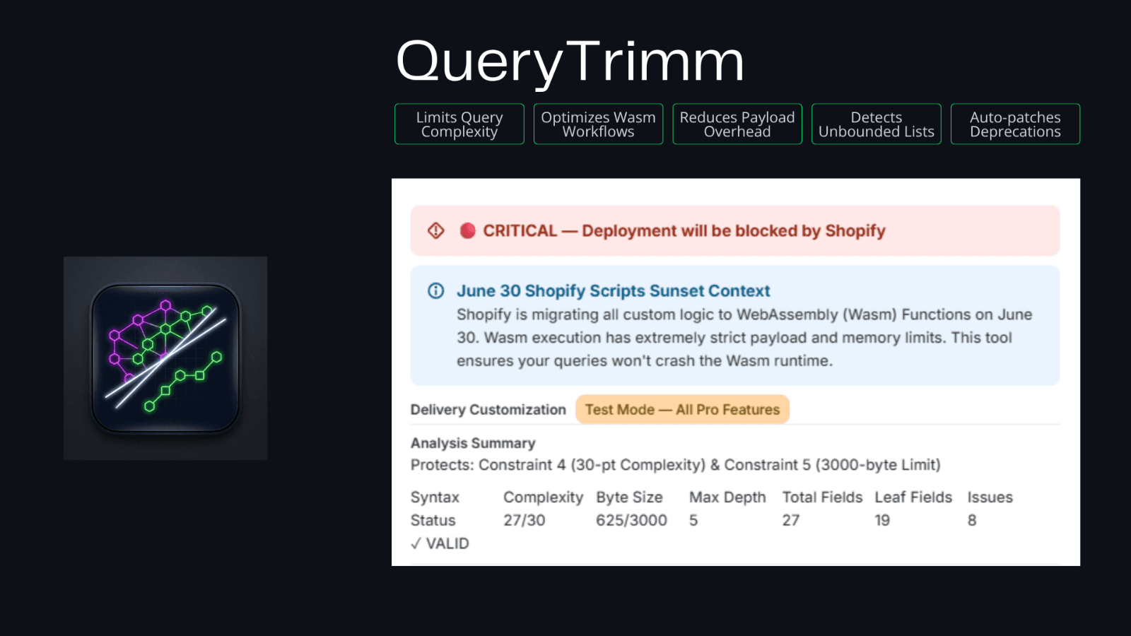 Shopify Functions complexity checker analyzing GraphQL input