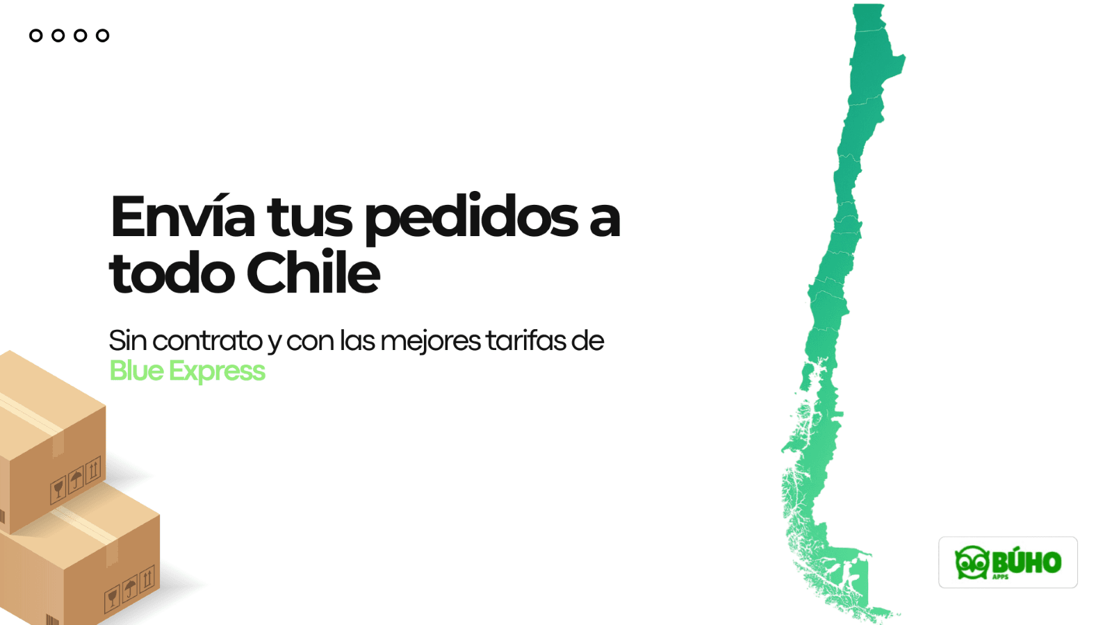 Envíos a todo chile Blue Express y Shopify