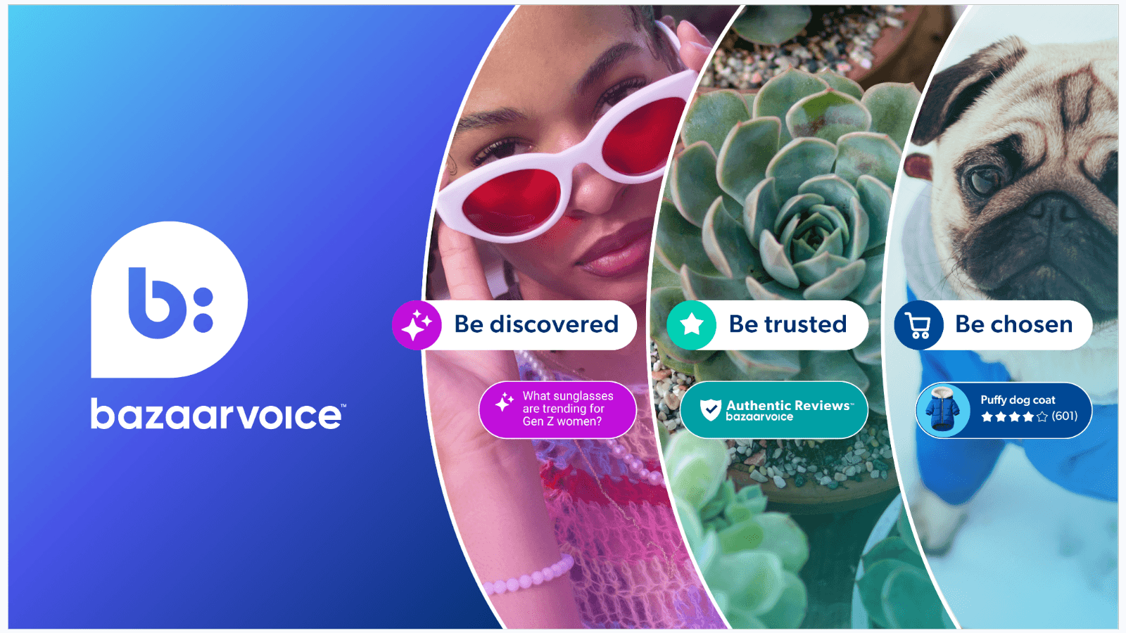 Make your products discoverable, trusted, and chosen.