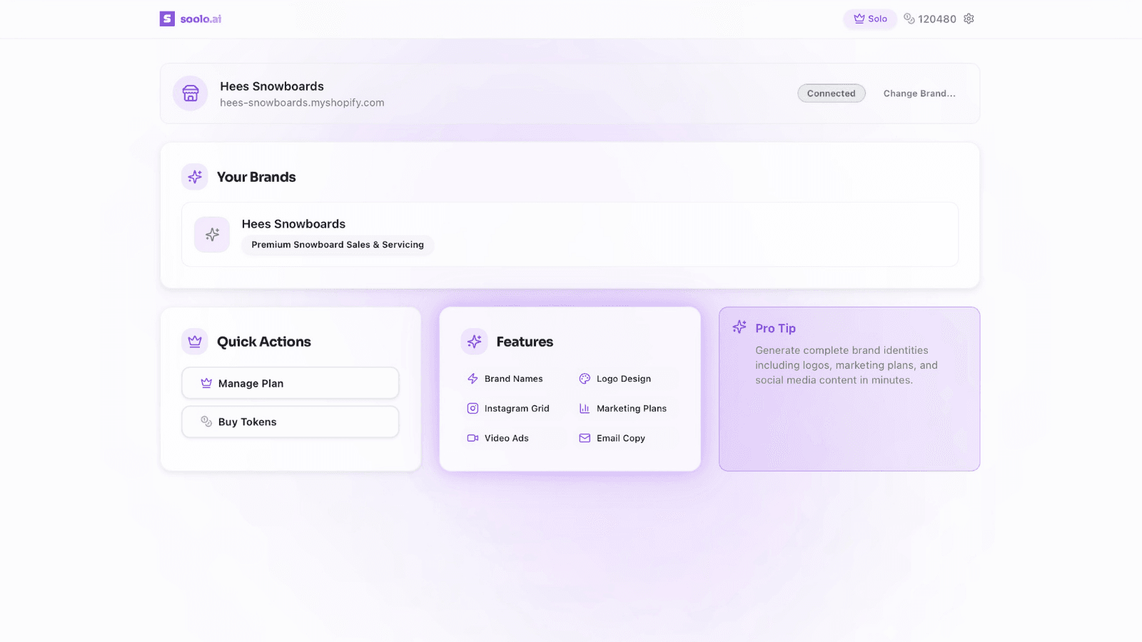 Soolo dashboard showing connected brand and quick actions