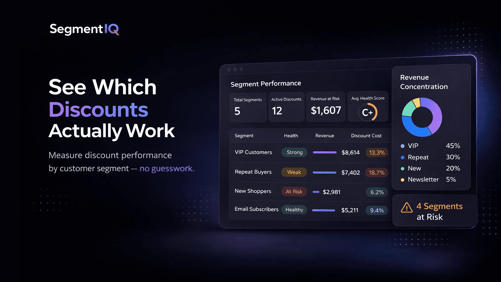 SegmentIQ segment performance and revenue concentration overview