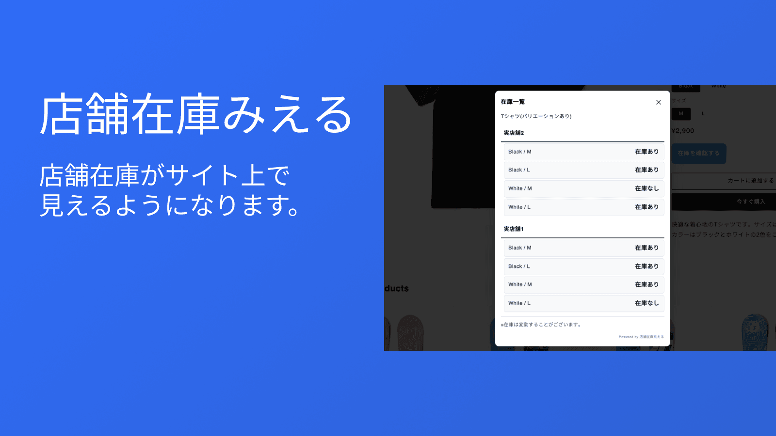 店舗在庫がサイト上で見えるようになります