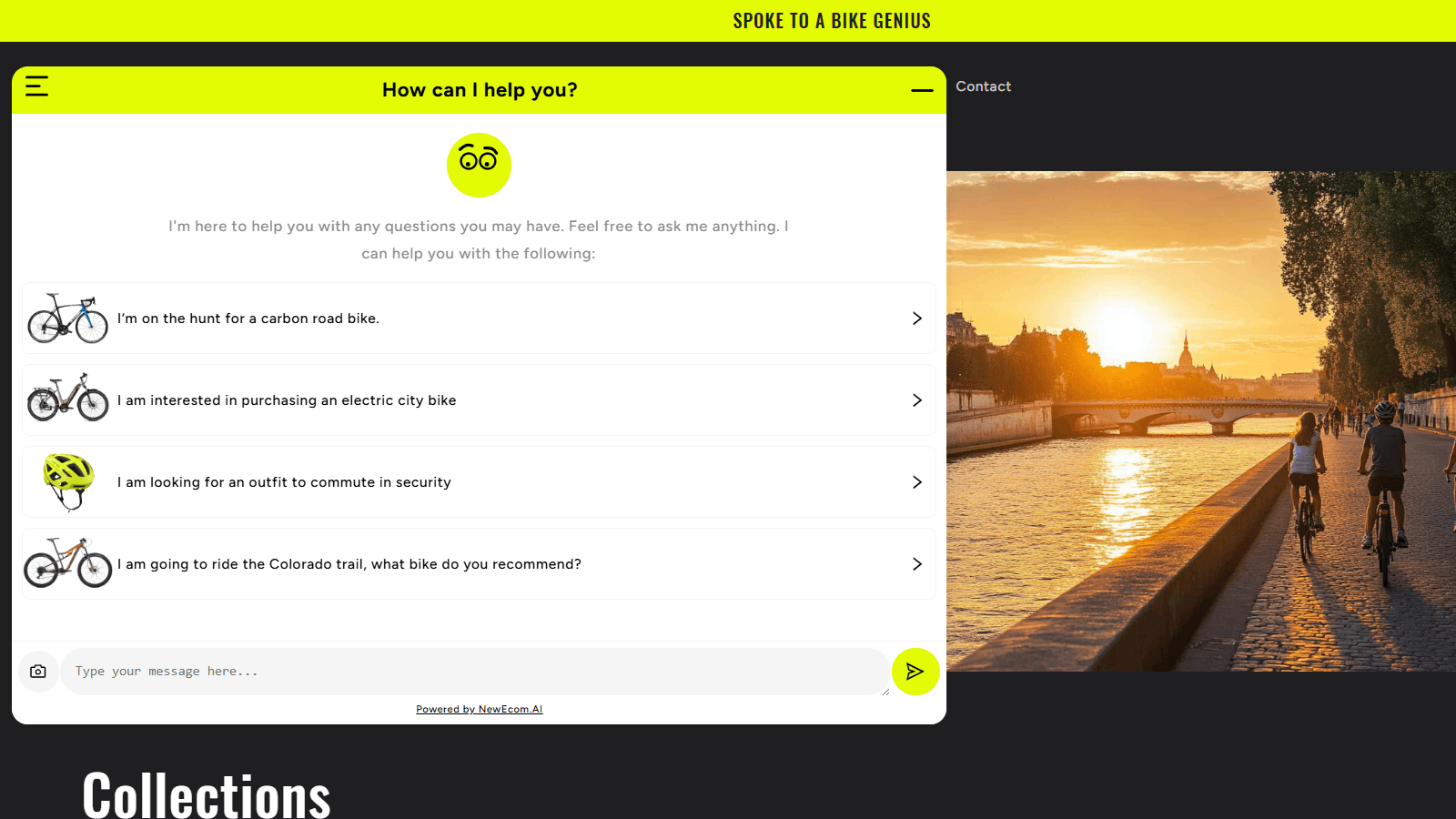 Conversational interface that guides and advises shoppers
