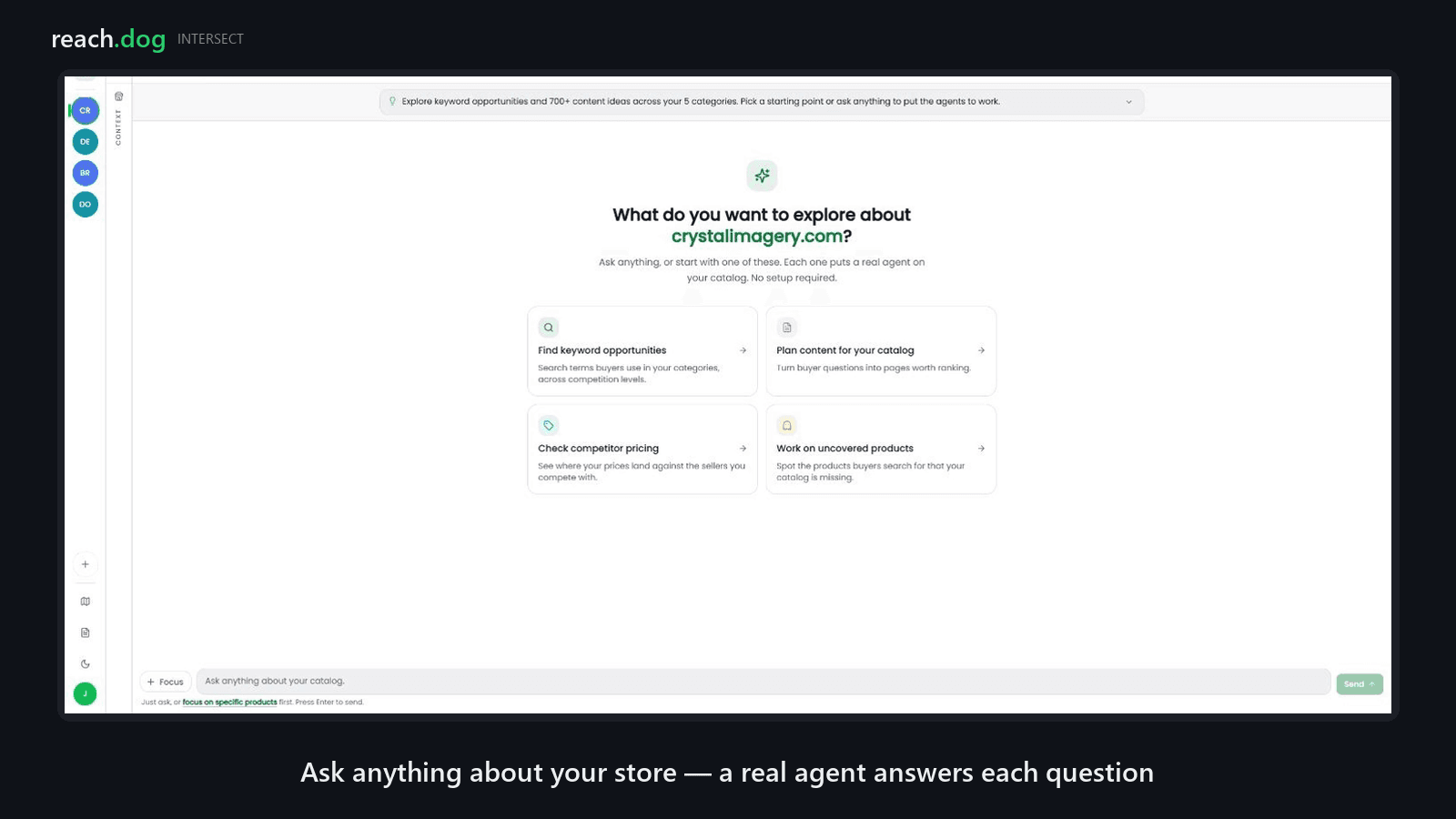 Conversational entry: ask anything about your store