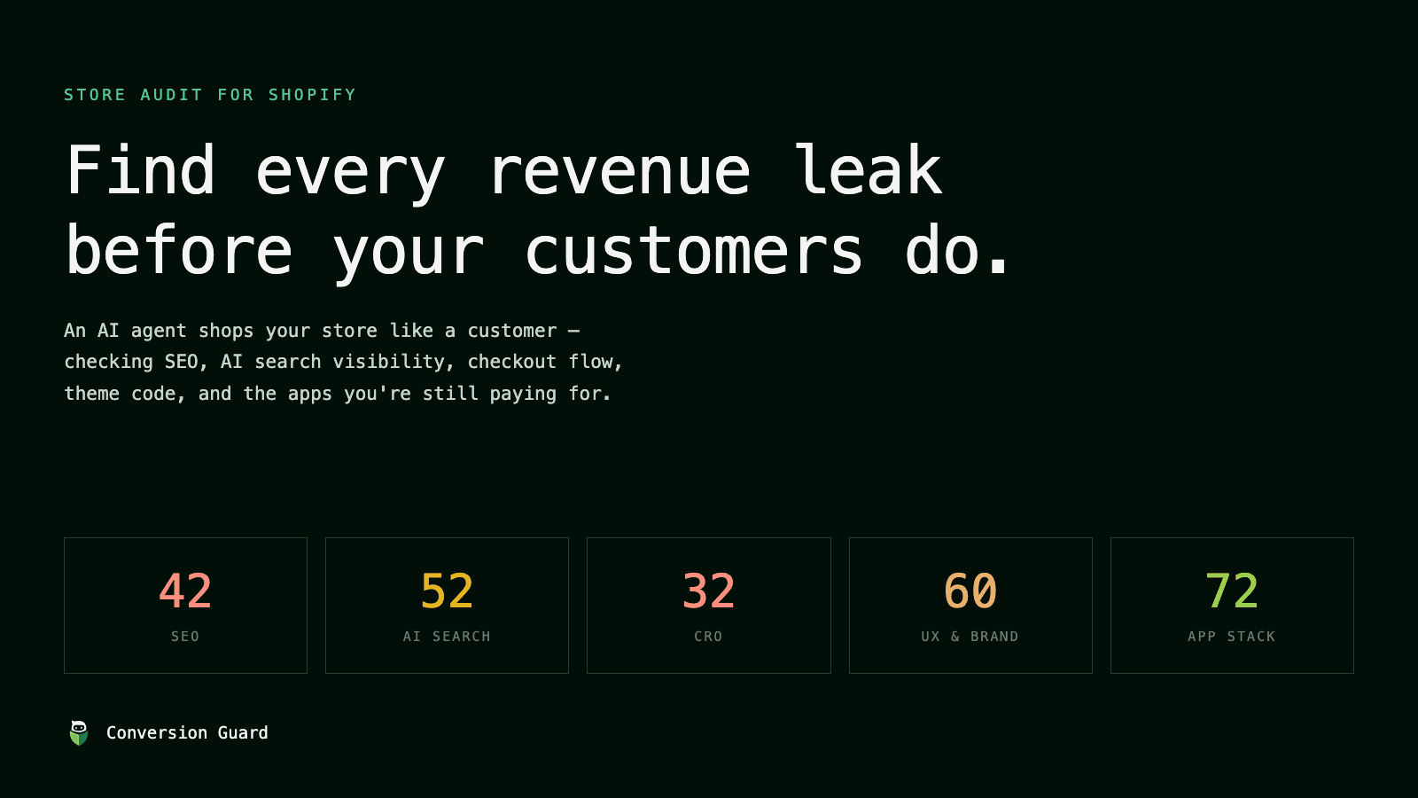 Find every revenue leak in your store before your customers do.