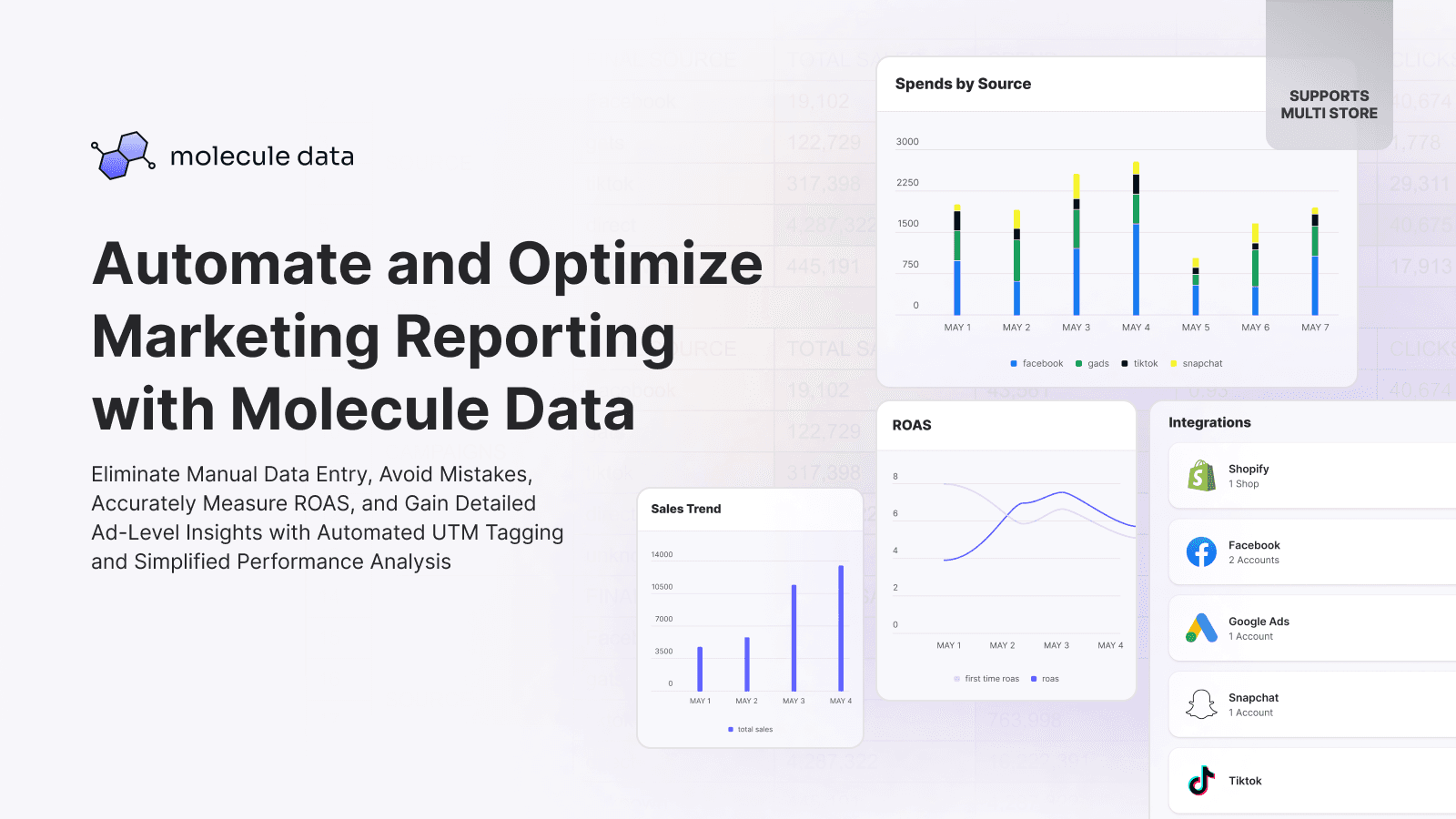 Automate and Optimize Marketing Reporting with Molecule Data