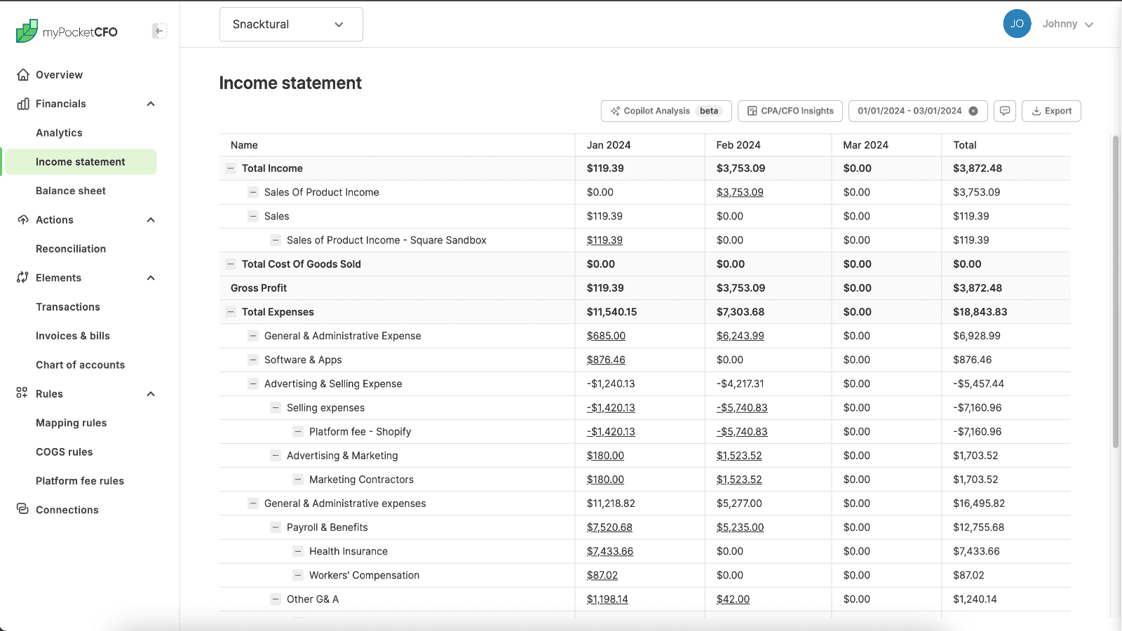 myPocketCFO income statement
