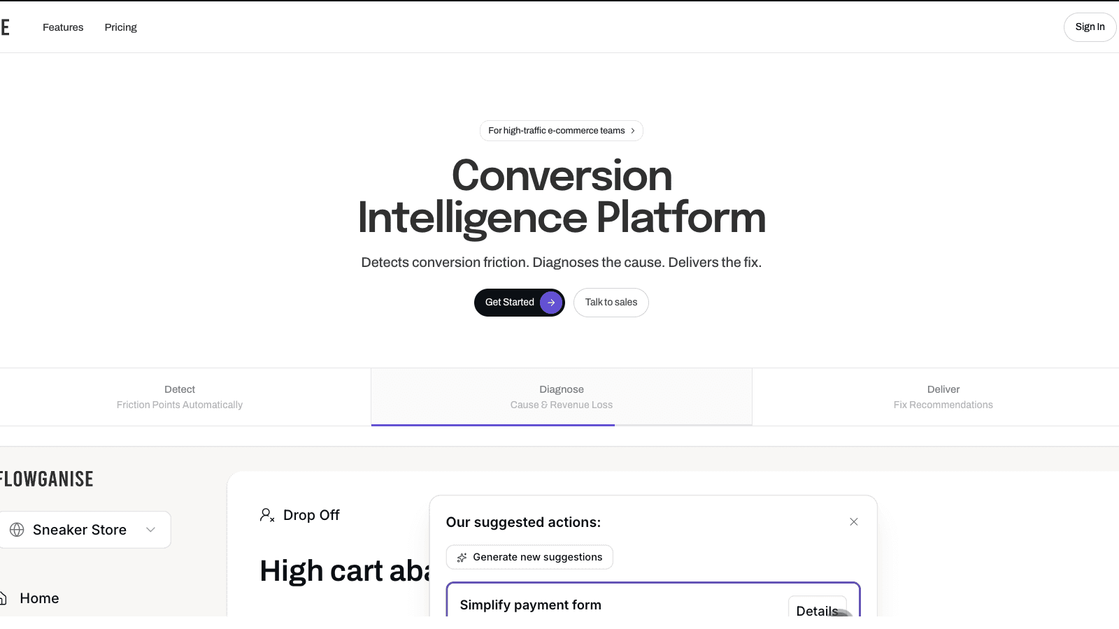 Flowganise Conversion Intelligence Platform