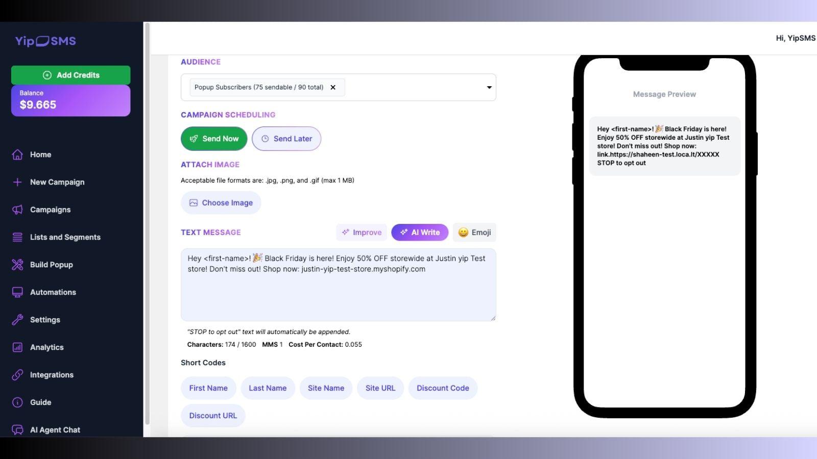 SMS/MMS campaign creation, Send instantly or schedule for later