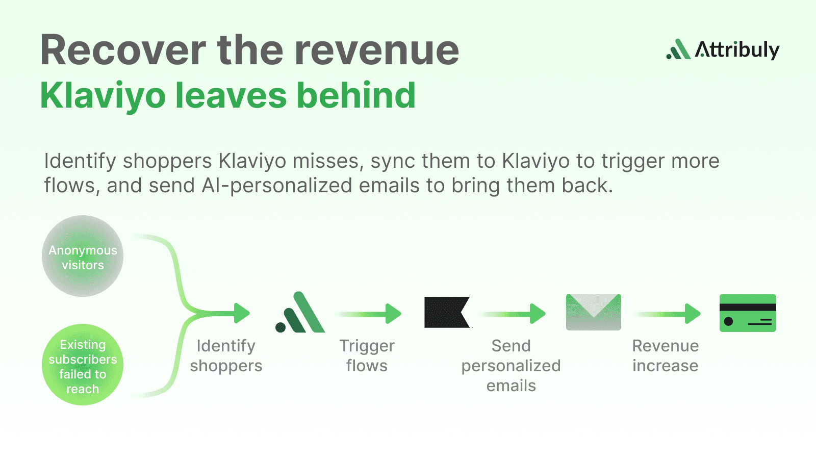 Recover the revenue Klaviyo leaves behind