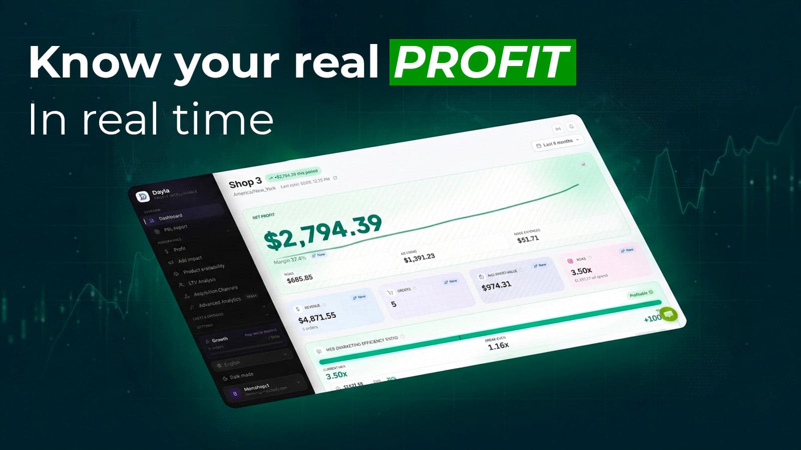 Dayla real-time net profit dashboard for Shopify