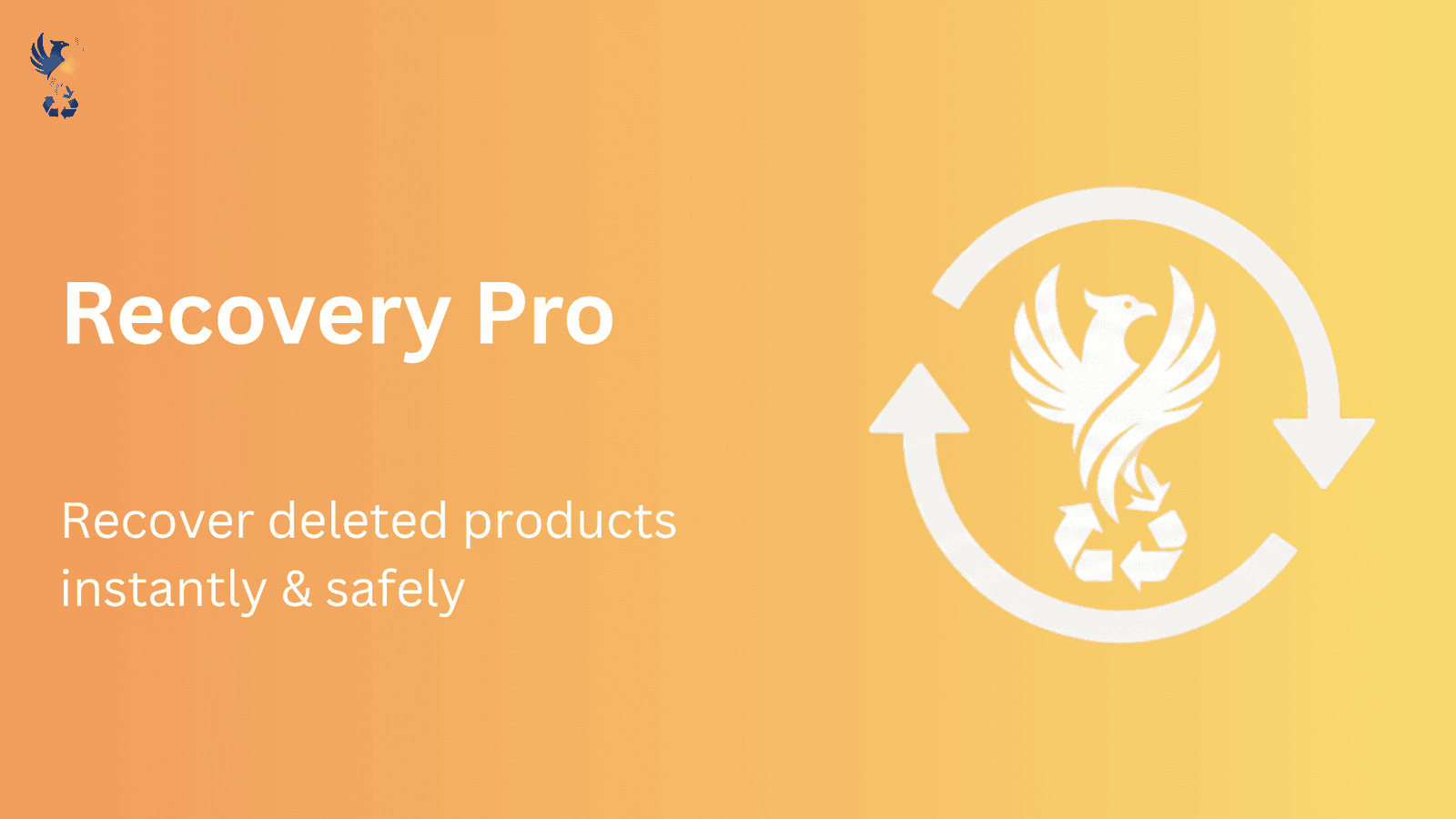 Recovery Pro