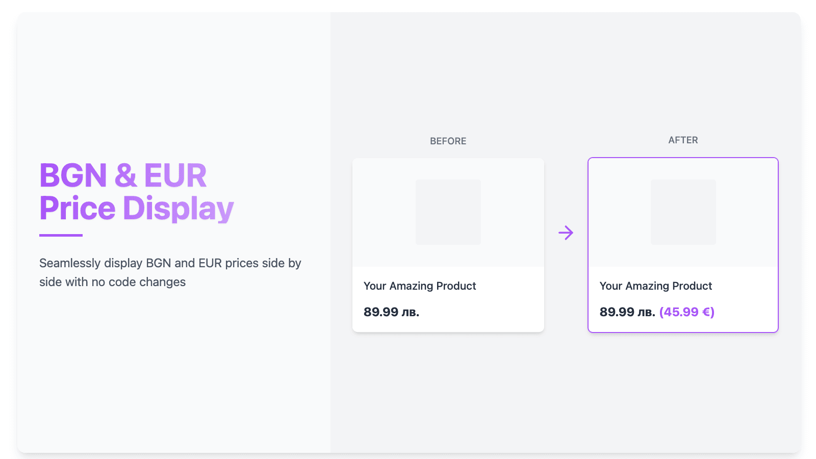 BGN & EUR Price Display