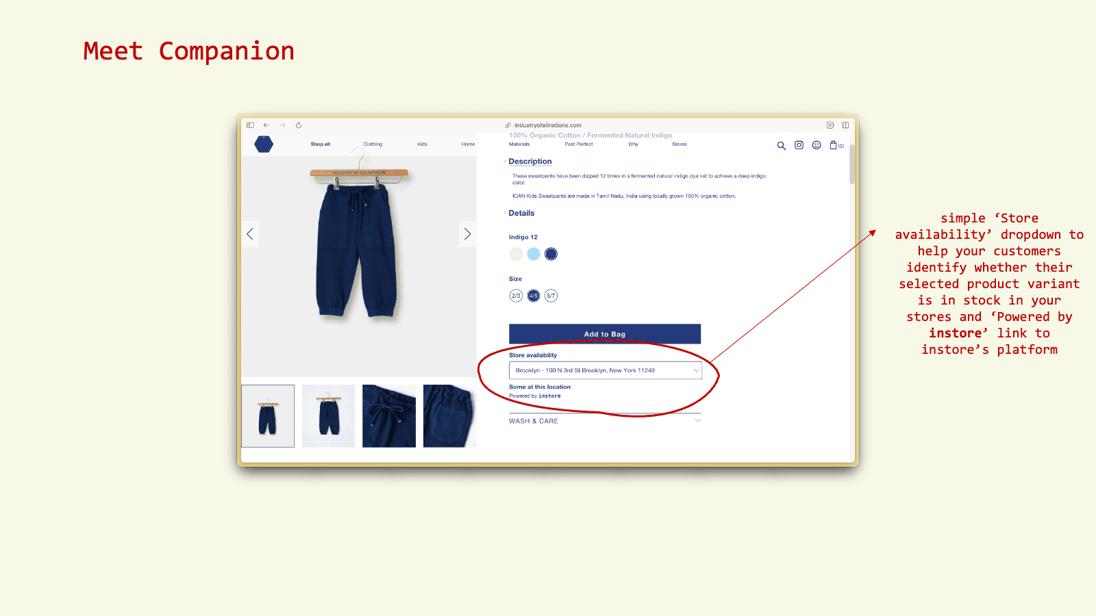 "Meet Companion" with screenshot of instore app fully installed