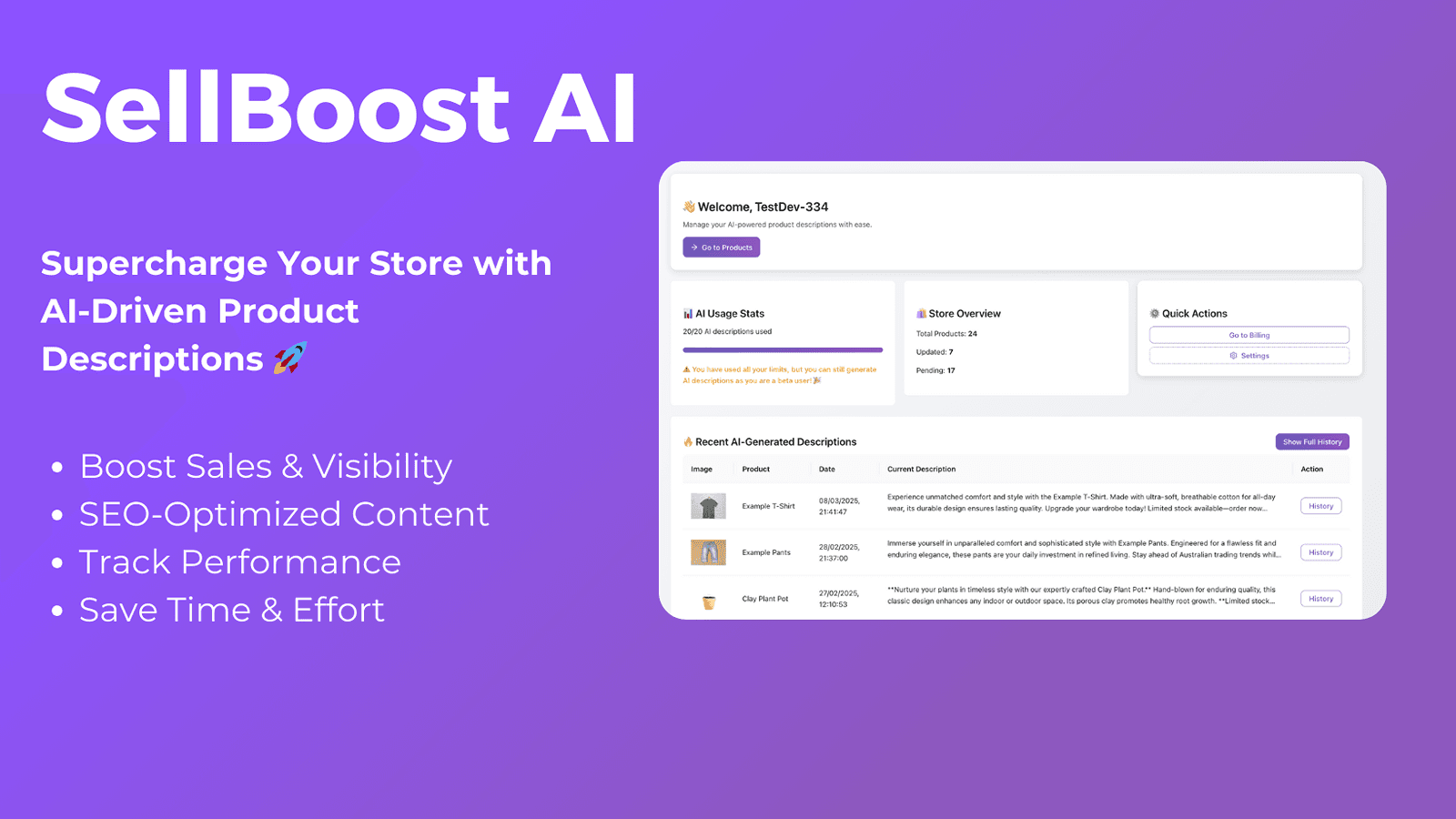 Dashboard showing AI usage, store stats, quick actions & history