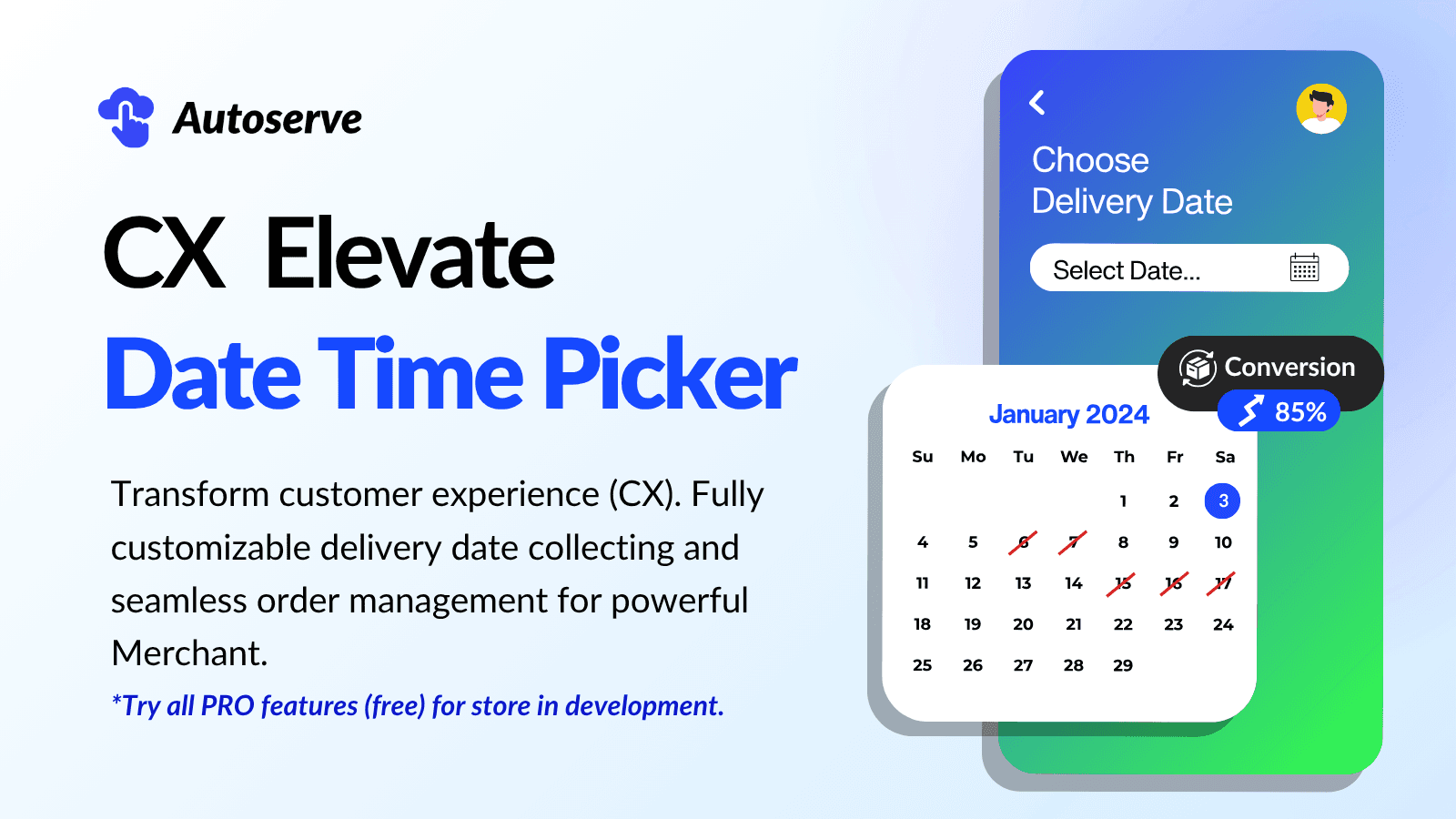 CX Elevate: Date Time Picker