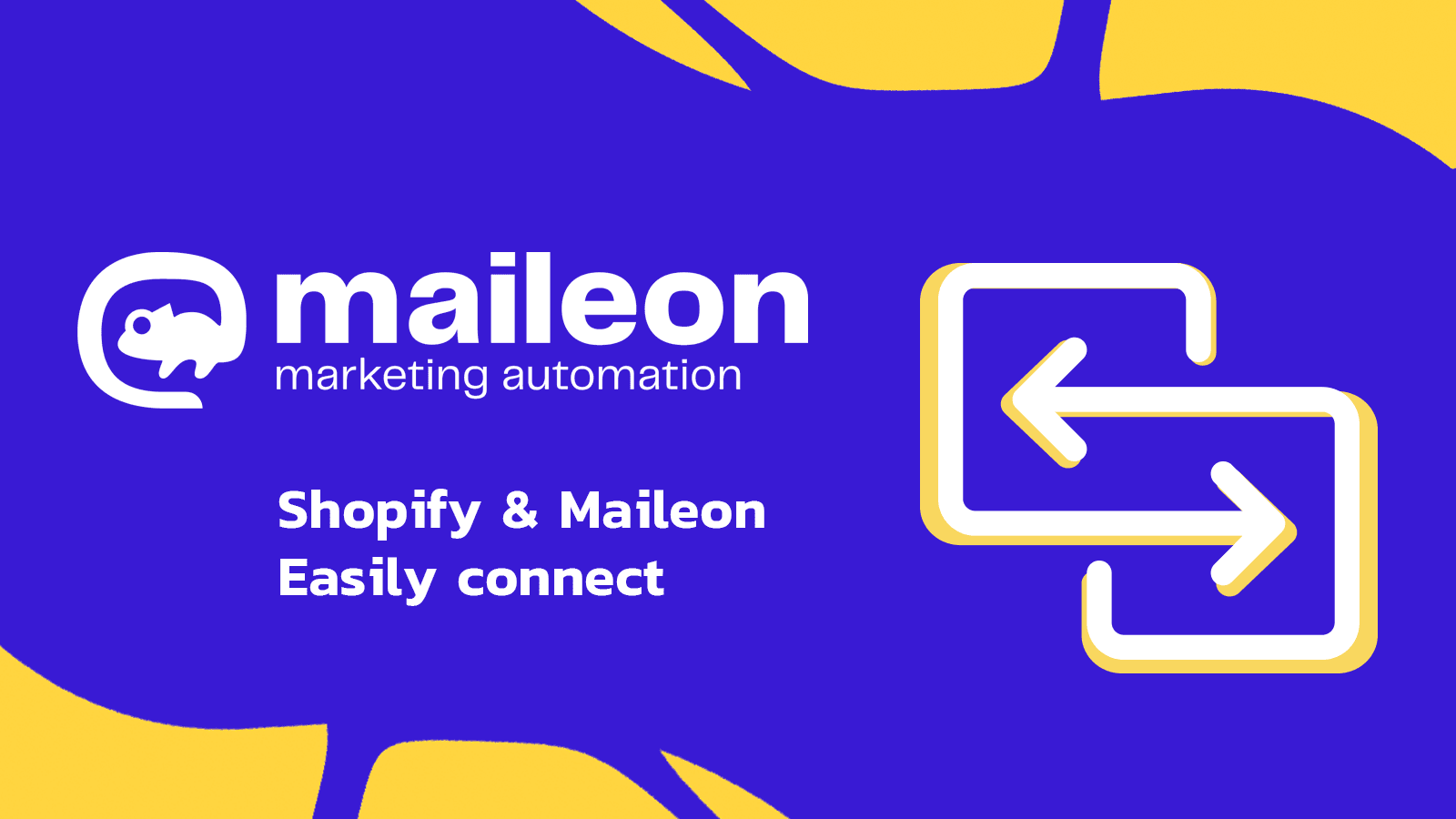 Shopify & Maileon - Easily connect