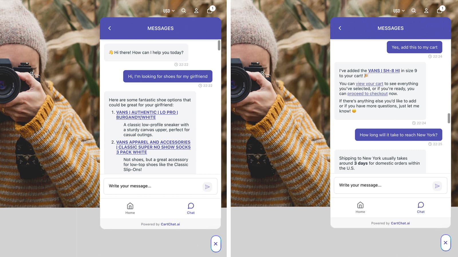 Add "Ask AI" chat widget on your store