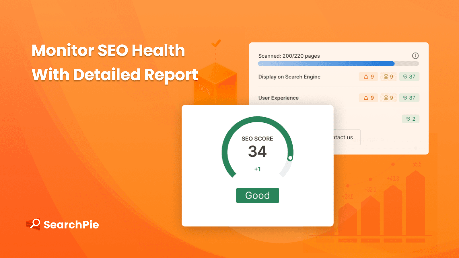 Monitor SEO with detailed reports