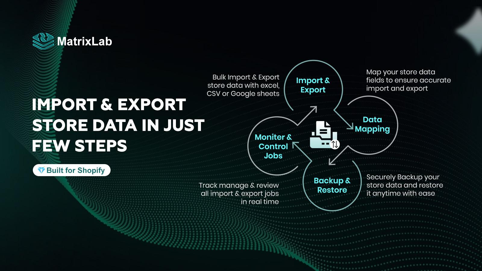 MatrixLab — Export and Import