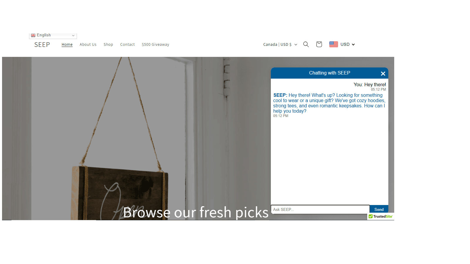 SEEP chatbot responding to a customer with product suggestions