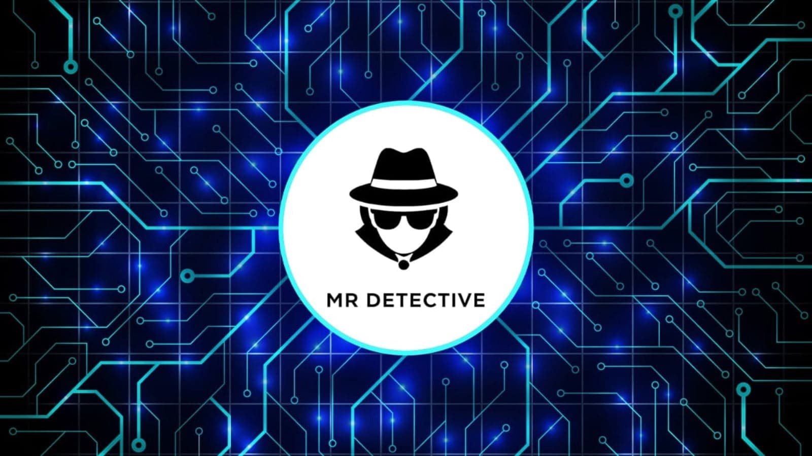 mr-detective