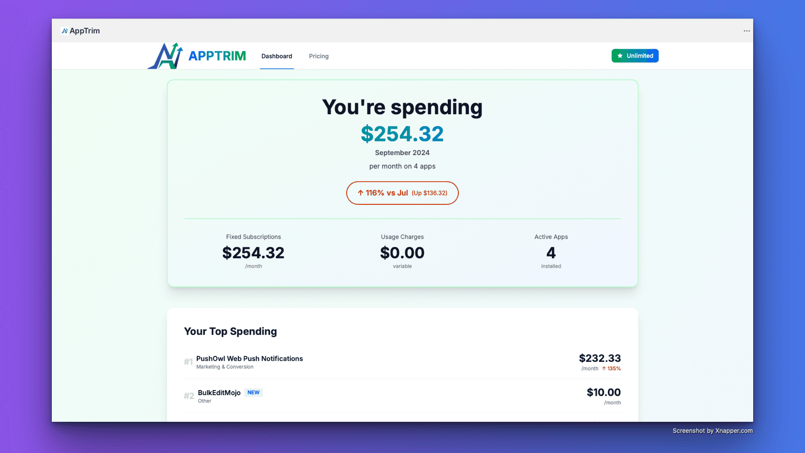 App spend dashboard with monthly cost chart