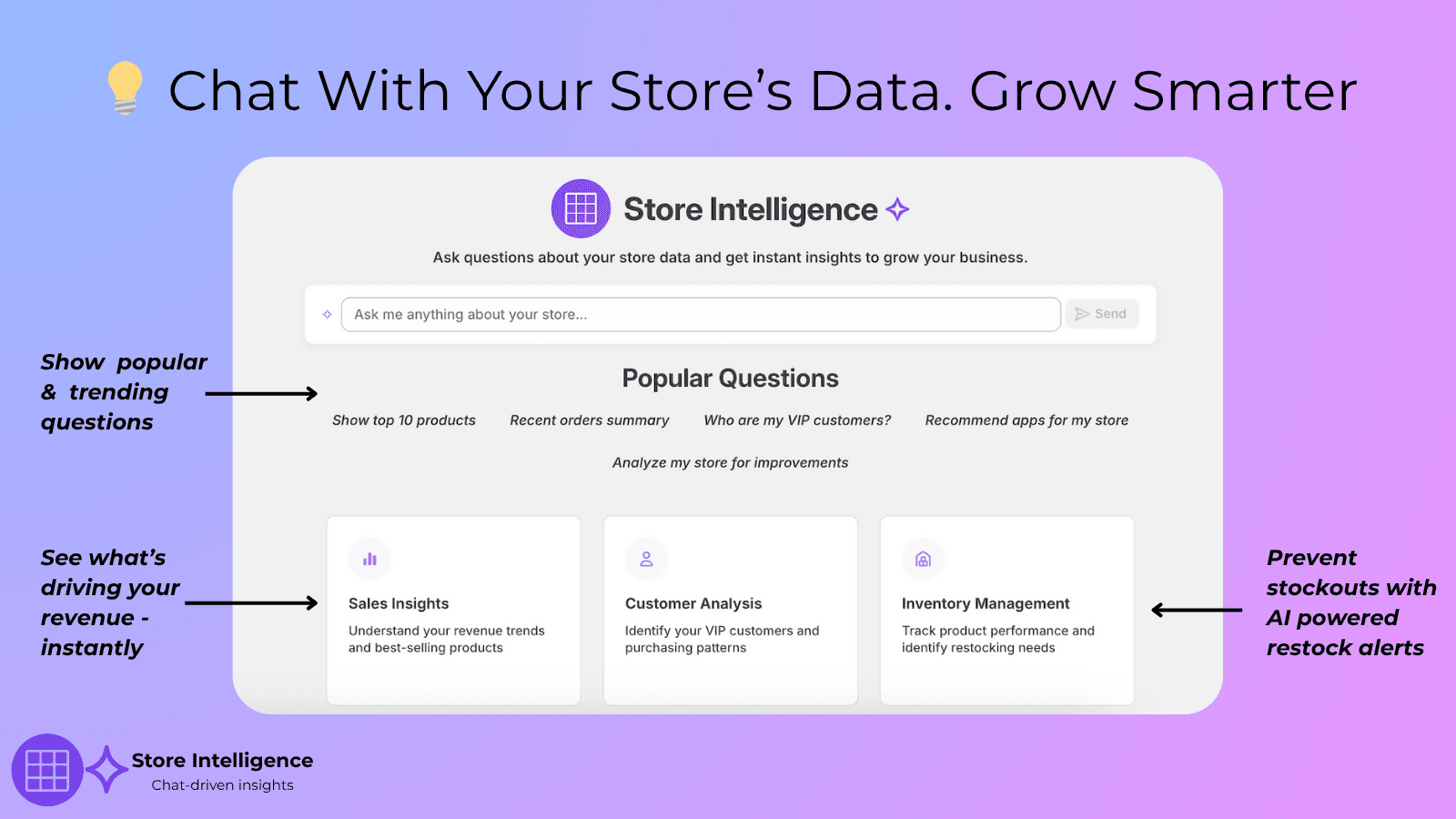 Chat with your store's data, grow smarter
