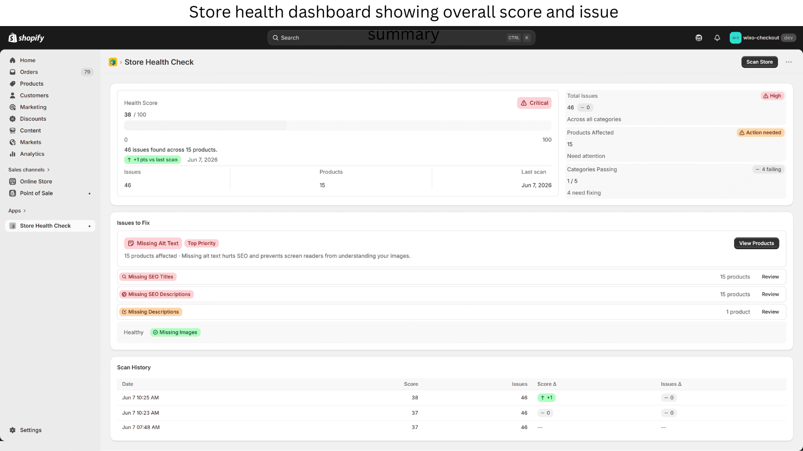 Store health dashboard showing overall score and issue summary