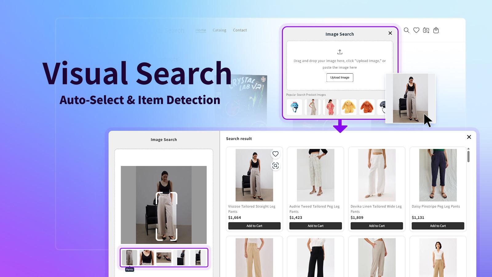 Visual Search
