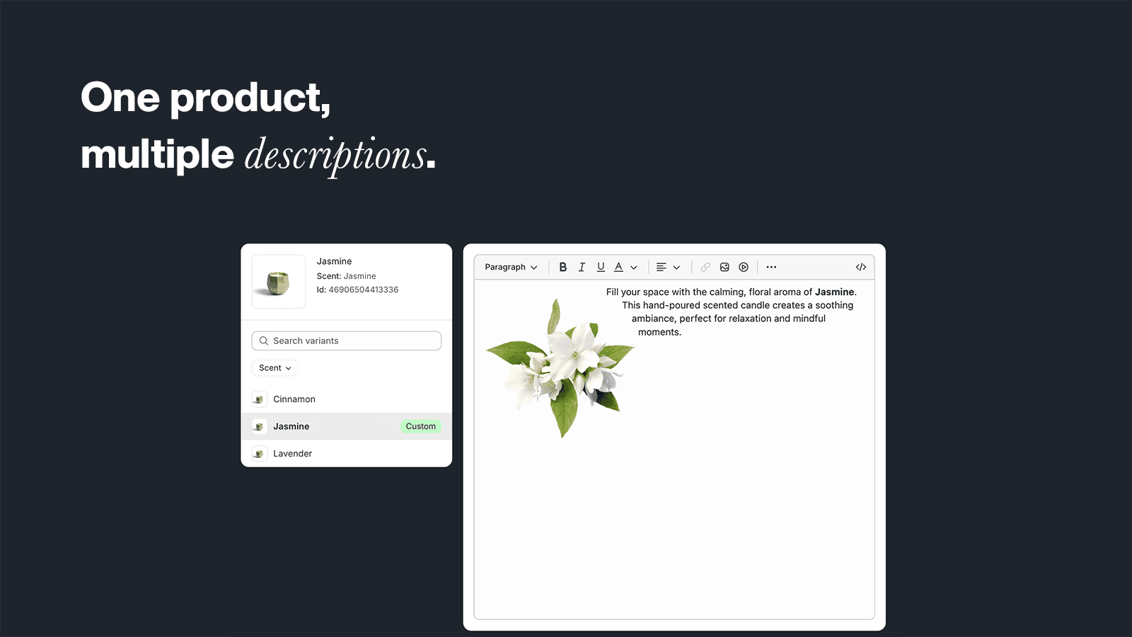 Admin editor with variant-specific description