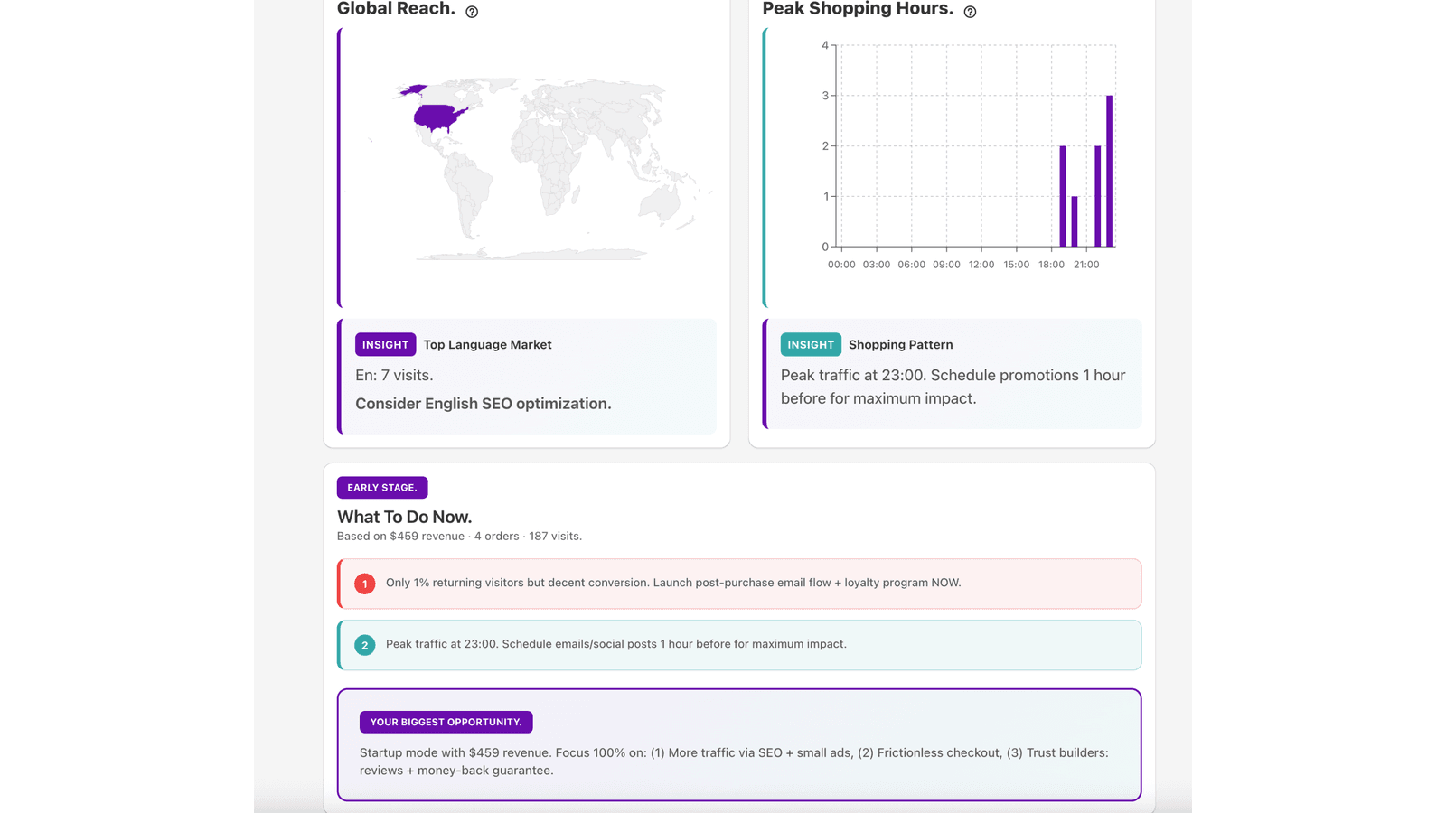 Visitor patterns + actionable SEO, promo & retention steps