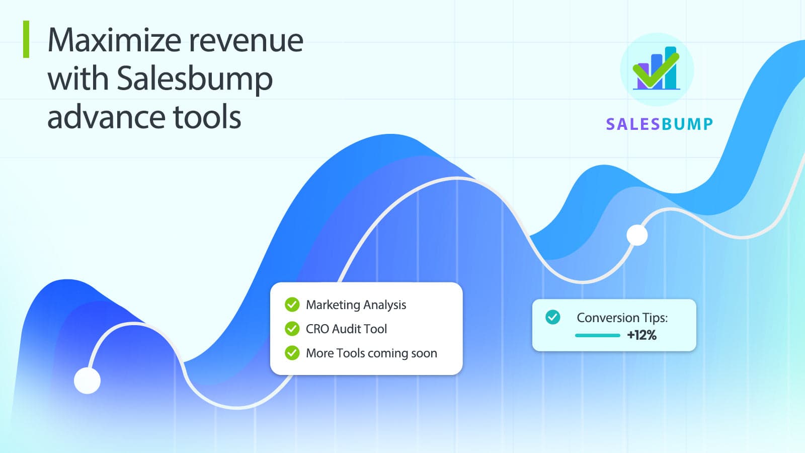 SalesBump Marketing analysis & CRO