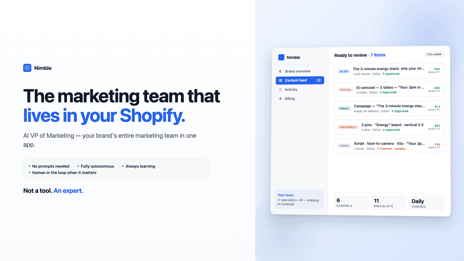 nimble ai marketing team explainer