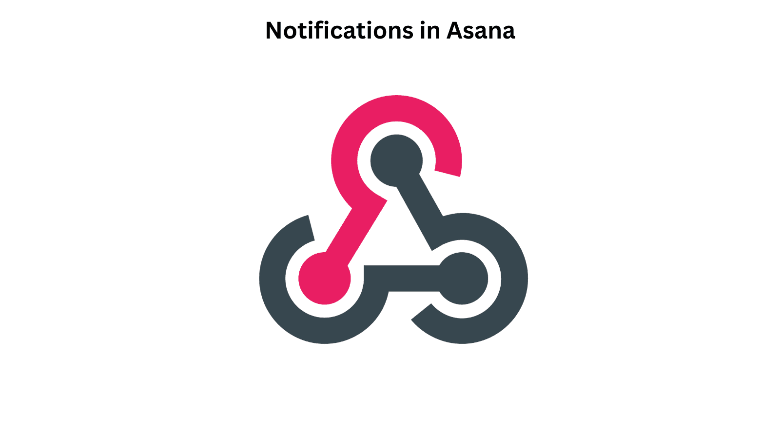 Notifications in Asana