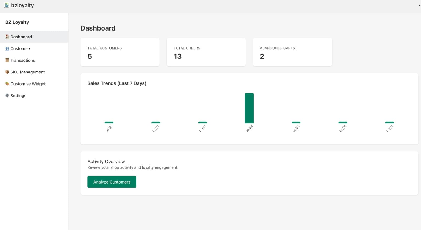 Loyalty dashboard overview with customer insights