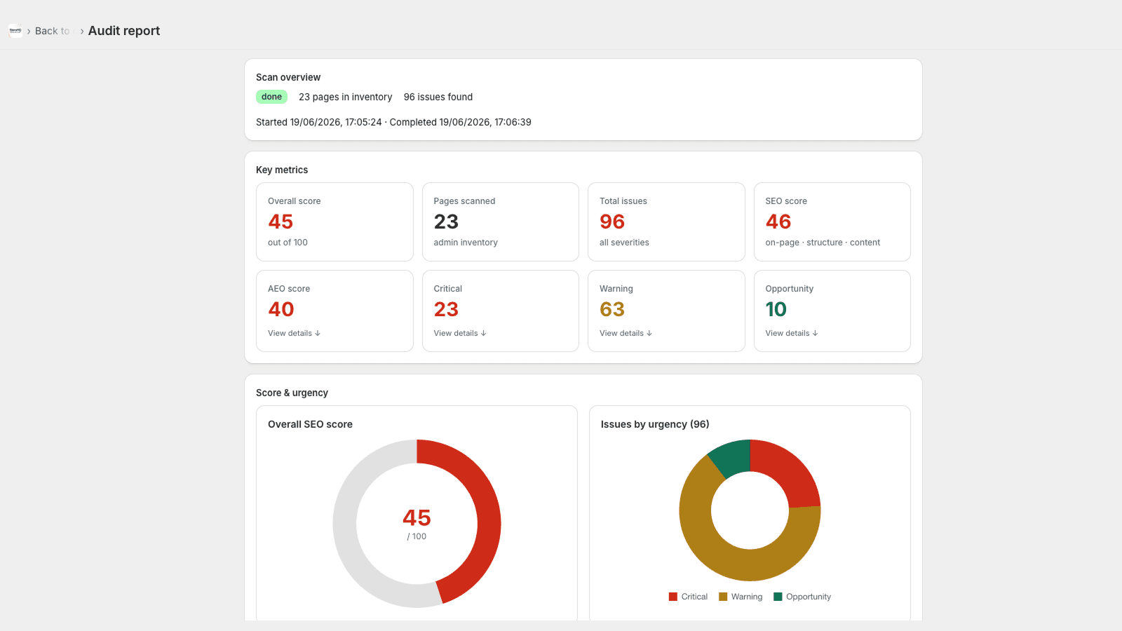 Audit report with SEO and AEO scores and issue charts