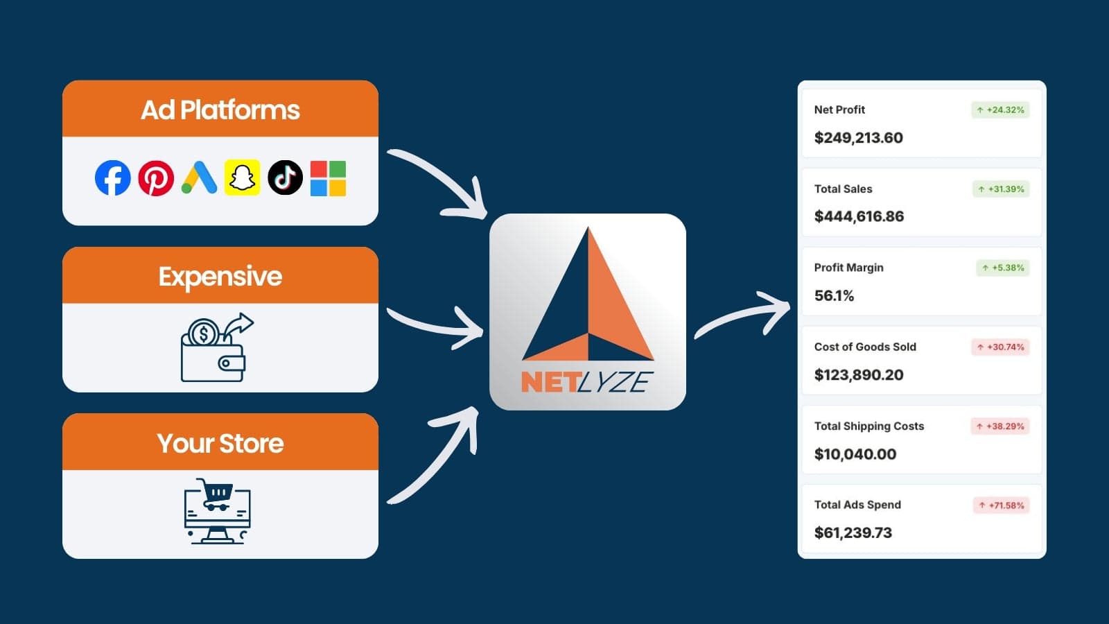 Netlyze profit dashboard with sales, costs, and ads spen