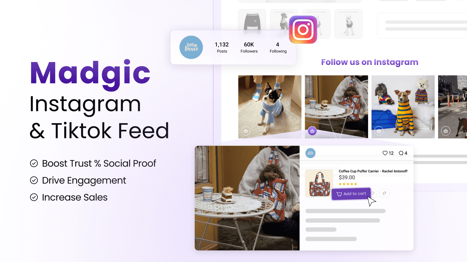 Tiktok Feed ‑ Instagramm Feed for Shopify Store.